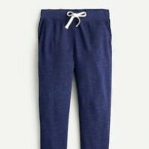 J.Crew Womens Jogger Pants Vintage Cotton Terry, M, Raw Indigo Blue